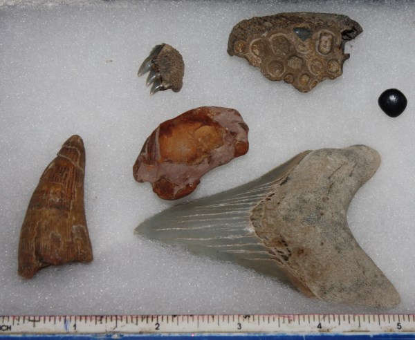 My best finds from Virginia beaches
